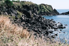 釜山・済州島旅行を快適に！eSIMでスマートに韓国を満喫する徹底ガイド